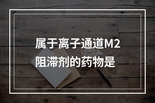 属于离子通道M2阻滞剂的药物是