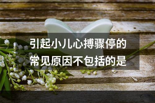 引起小儿心搏骤停的常见原因不包括的是