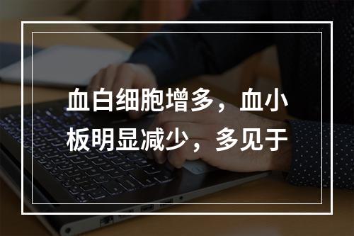 血白细胞增多，血小板明显减少，多见于