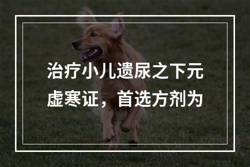 治疗小儿遗尿之下元虚寒证，首选方剂为