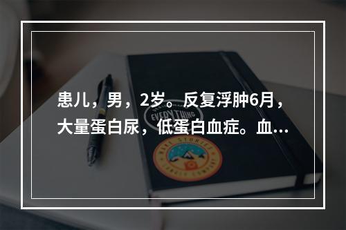 患儿，男，2岁。反复浮肿6月，大量蛋白尿，低蛋白血症。血清胆