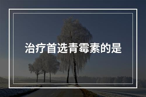 治疗首选青霉素的是