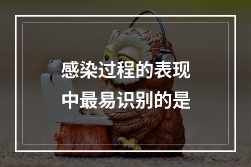 感染过程的表现中最易识别的是