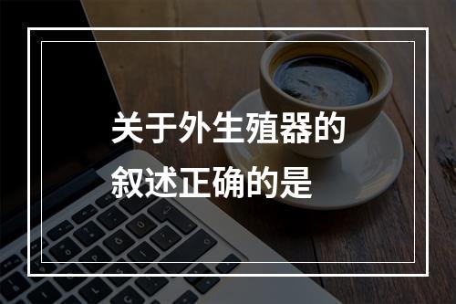 关于外生殖器的叙述正确的是