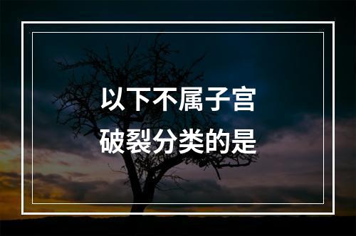 以下不属子宫破裂分类的是