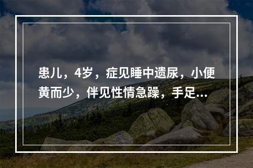 患儿，4岁，症见睡中遗尿，小便黄而少，伴见性情急躁，手足心热