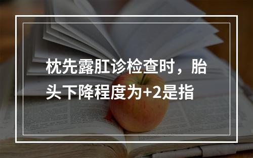 枕先露肛诊检查时，胎头下降程度为+2是指