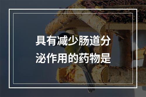 具有减少肠道分泌作用的药物是