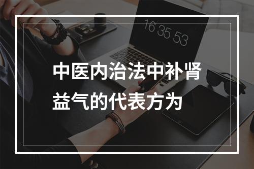 中医内治法中补肾益气的代表方为