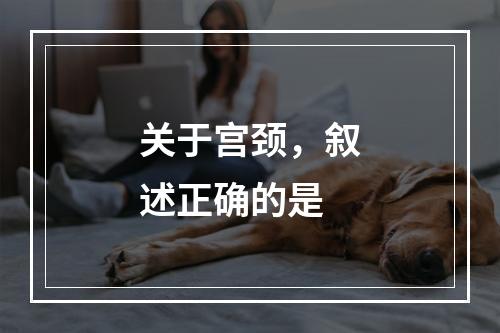 关于宫颈，叙述正确的是