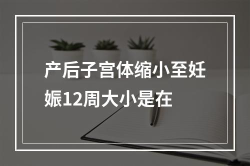 产后子宫体缩小至妊娠12周大小是在