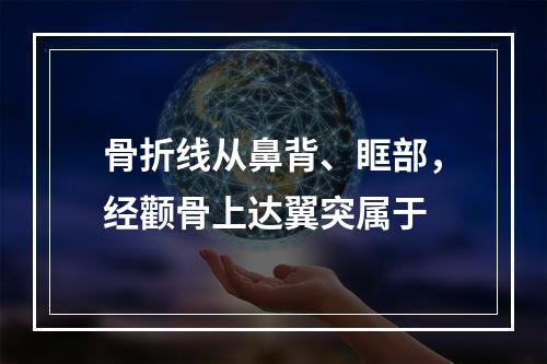 骨折线从鼻背、眶部，经颧骨上达翼突属于