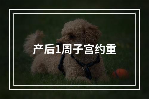 产后1周子宫约重