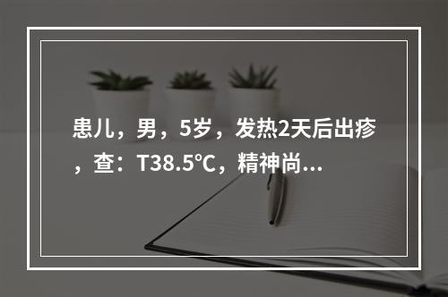 患儿，男，5岁，发热2天后出疹，查：T38.5℃，精神尚可，