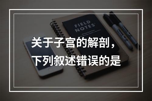 关于子宫的解剖，下列叙述错误的是