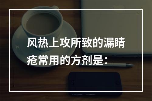 风热上攻所致的漏睛疮常用的方剂是：