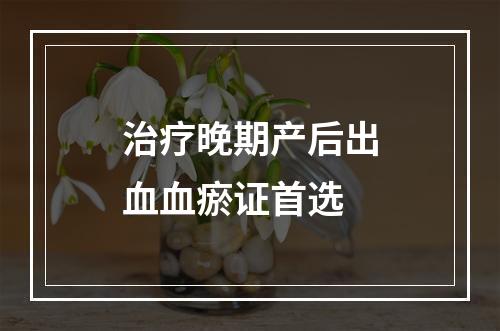 治疗晚期产后出血血瘀证首选