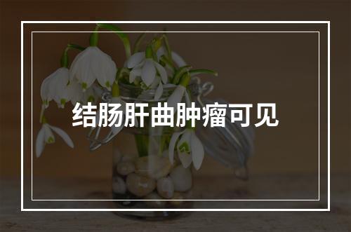 结肠肝曲肿瘤可见