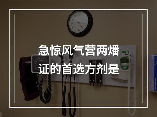 急惊风气营两燔证的首选方剂是