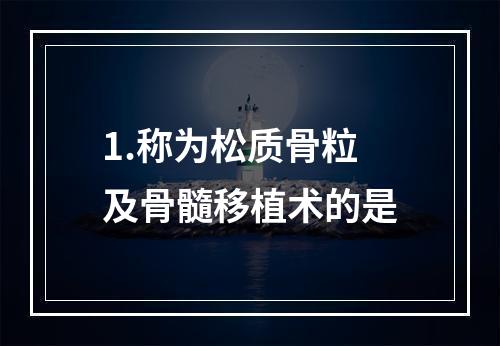 1.称为松质骨粒及骨髓移植术的是