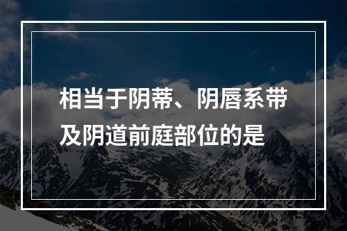 相当于阴蒂、阴唇系带及阴道前庭部位的是