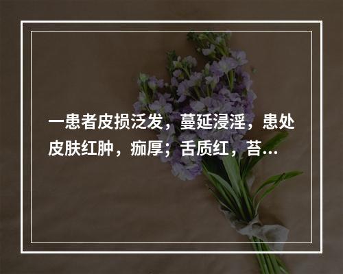 一患者皮损泛发，蔓延浸淫，患处皮肤红肿，痂厚；舌质红，苔黄腻