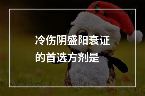 冷伤阴盛阳衰证的首选方剂是