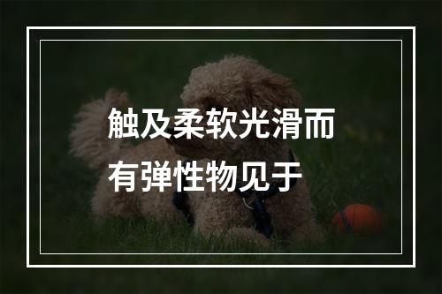 触及柔软光滑而有弹性物见于