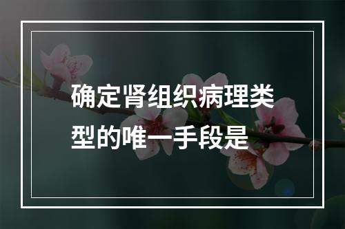 确定肾组织病理类型的唯一手段是