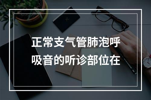 正常支气管肺泡呼吸音的听诊部位在