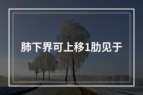 肺下界可上移1肋见于