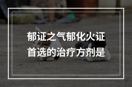 郁证之气郁化火证首选的治疗方剂是