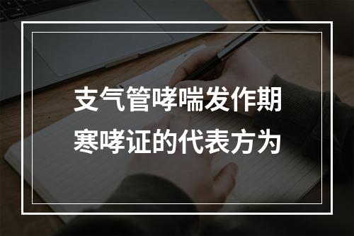 支气管哮喘发作期寒哮证的代表方为