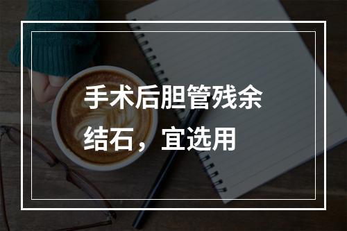 手术后胆管残余结石，宜选用