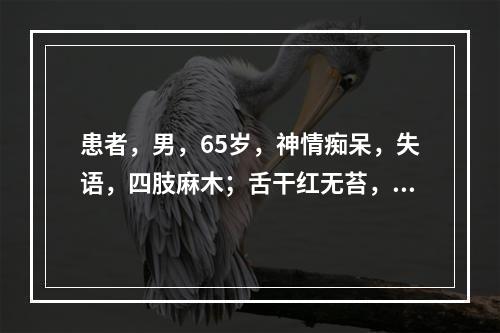 患者，男，65岁，神情痴呆，失语，四肢麻木；舌干红无苔，脉弦