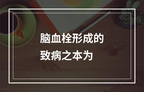 脑血栓形成的致病之本为