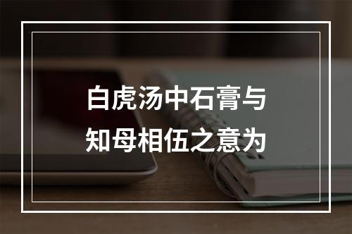 白虎汤中石膏与知母相伍之意为