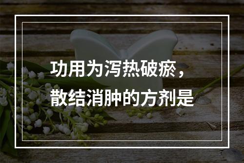 功用为泻热破瘀，散结消肿的方剂是