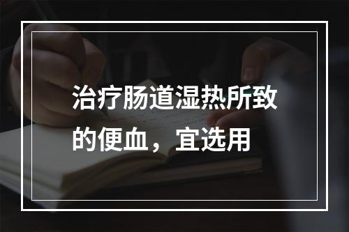 治疗肠道湿热所致的便血，宜选用