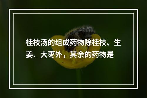 桂枝汤的组成药物除桂枝、生姜、大枣外，其余的药物是