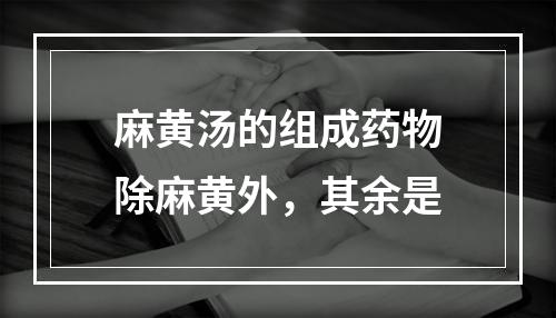 麻黄汤的组成药物除麻黄外，其余是