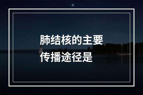 肺结核的主要传播途径是