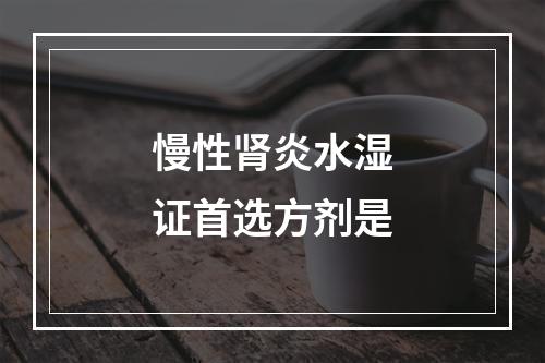 慢性肾炎水湿证首选方剂是