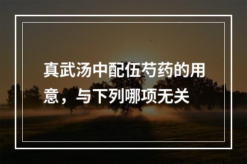 真武汤中配伍芍药的用意，与下列哪项无关