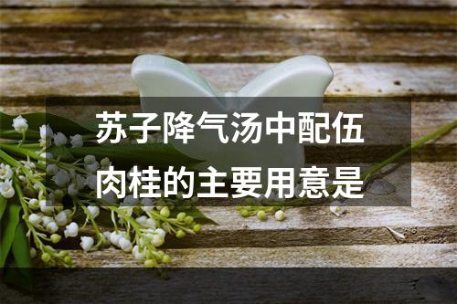 苏子降气汤中配伍肉桂的主要用意是