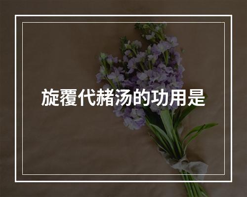 旋覆代赭汤的功用是