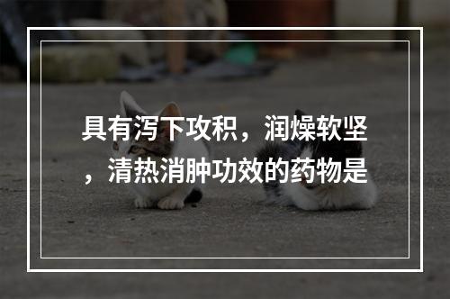 具有泻下攻积，润燥软坚，清热消肿功效的药物是