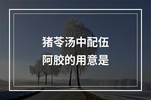 猪苓汤中配伍阿胶的用意是