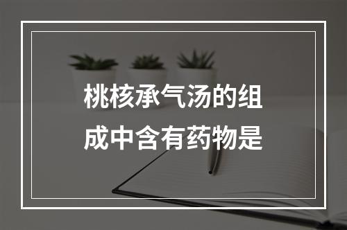 桃核承气汤的组成中含有药物是