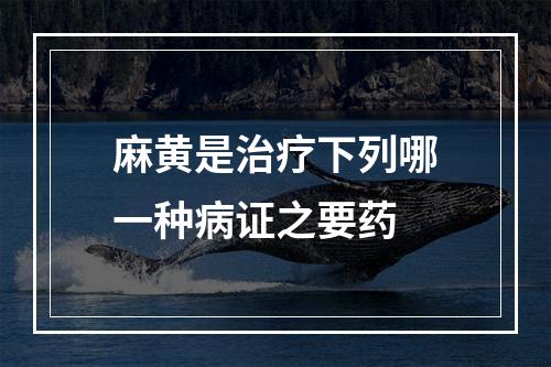 麻黄是治疗下列哪一种病证之要药